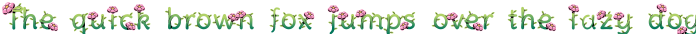 Budsy preview